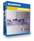 DataNumen Data Recovery Coupon Code – 20%