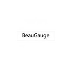 BeauGauge