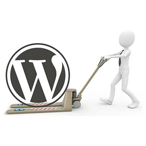 WordPress Helpr